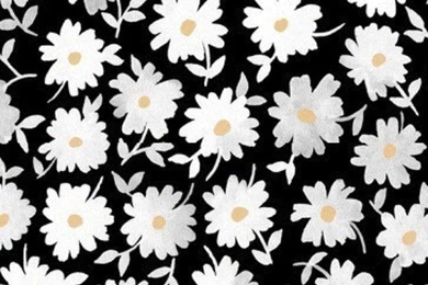 Background, Black, Flowers, Iphone, Wallpaper, White   Image ...