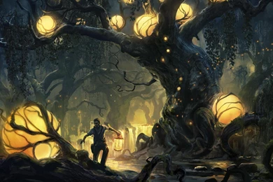 Desktop Wallpapers Computer Wallpapers Desktop 114 3200 X 1800