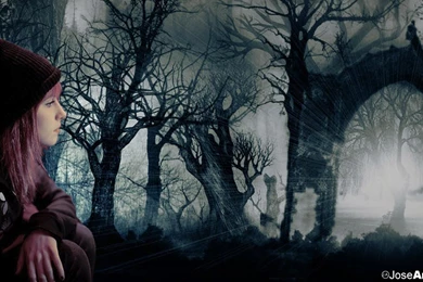 Hayley Williams Wallpapers By Toniio94 On DeviantArt