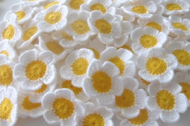 Sweet White Flower Wallpapers Hd