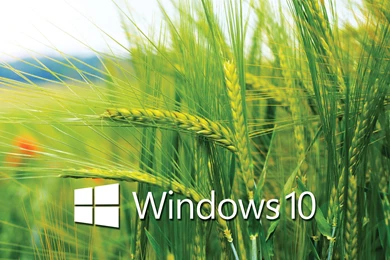 Windows 10 HD Wallpapers   BlogTiz