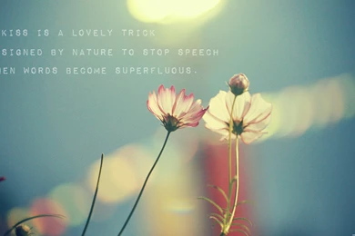 Cute Wallpapers 3bb   HD Wallpapers