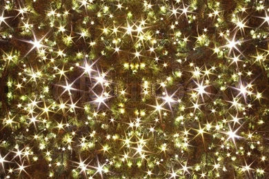 Xmas Tree (lights) As Christmas Backgrounds