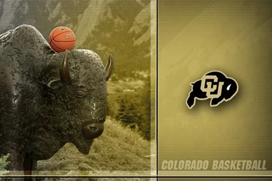 COLORADO ATHLETICS WALLPAPER   CUBuffs.com   Official Athletics ...