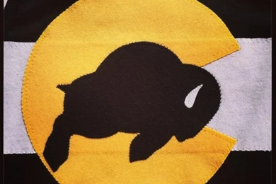 Graduation Caps On Pinterest