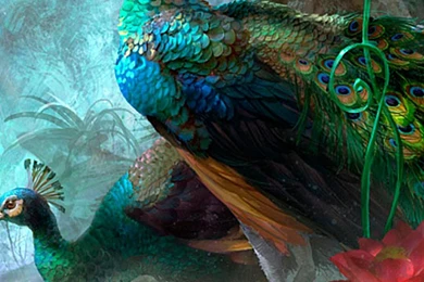 Texture Patterns Samsung Galaxy Wallpapers HD 1440x2560