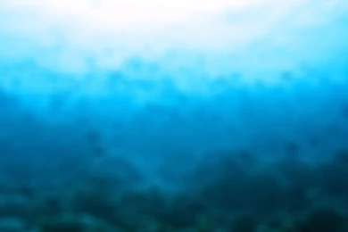 College Background Images   Danasrhp.top