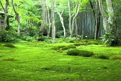 2 HOURS Of Relaxing Music NEW   Relaxation, Yoga, Spa, Sleep ...