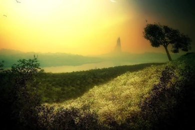 Calming Dark Backgrounds