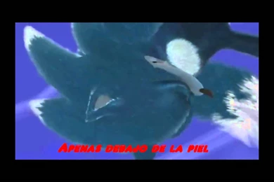 Monster·::..~Sonic The Werehog.[AMV]   YouTube