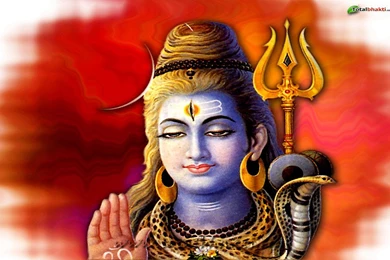 Light: Answers To All Your Questions