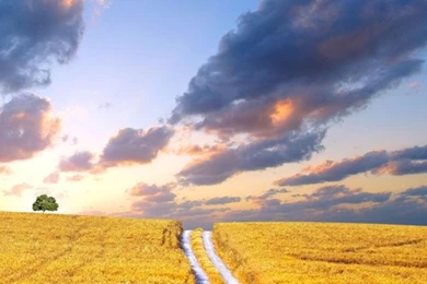 50+ Wallpapers Untuk iPhone Dan Android