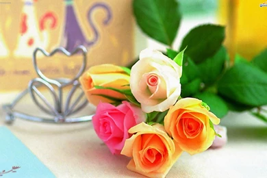 Perfect Flowers Wallpapers 211 Next Image Perfect Flowers Wallpapers ...