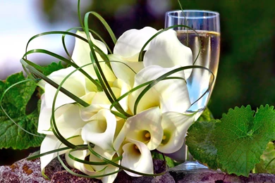 FLOWER [36] 2014 bouquet [26december2013thursday] [051039 ...