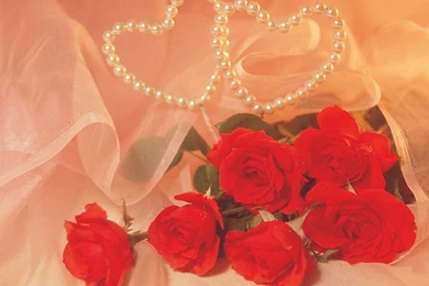 New Latest Valentine's Day 2009 Heart Red Flowers Wallpapers ...