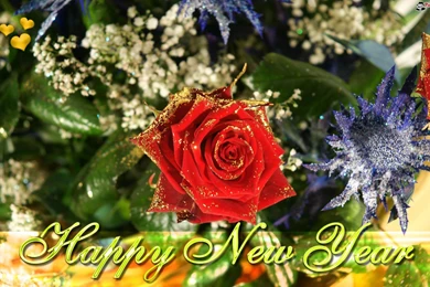 Happy New Years Flower Wallpapers Free Download For Happy New Years