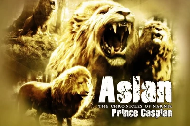 Narnia Aslan Wallpapers   Wallpapers Cave