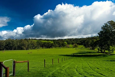 Summer Green Farm Wallpapers