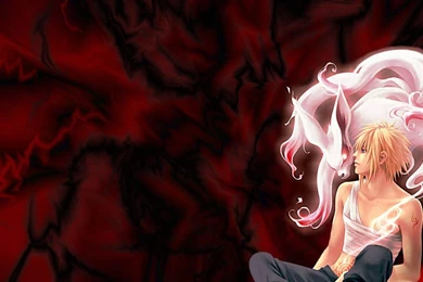 Naruto And Kyuubi Naruto Desktop Wallpapers Download   (