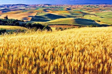 Hd 94941 Free Farm Wallpapers Landcapes   HD Wallpaper Backgrounds