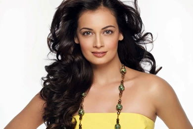 Dia Mirza HD Wallpapers 698