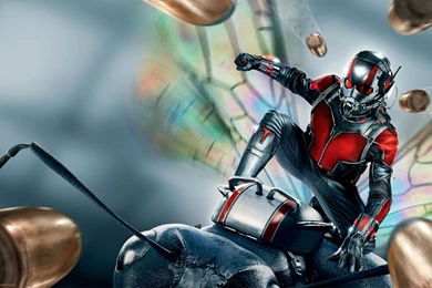 Ant Man Wallpapers