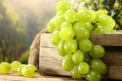 Grapes HD Wallpapers