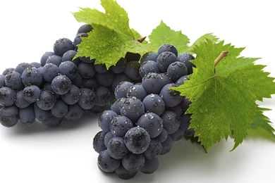 Grapes Wallpapers