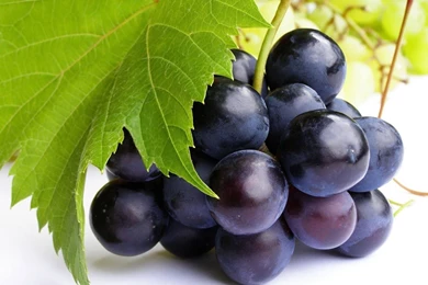 Grapes Images