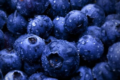 Grapes iPad Air Wallpapers Download