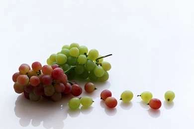 1024x768 Grapes Desktop PC And Mac Wallpapers