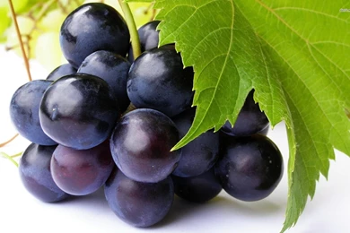 Wallpapers Black Little Grapes   1920 X 1200   Food Drinks ...