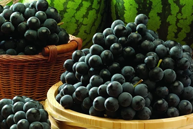 Grapes Computer Wallpapers, Desktop Backgrounds