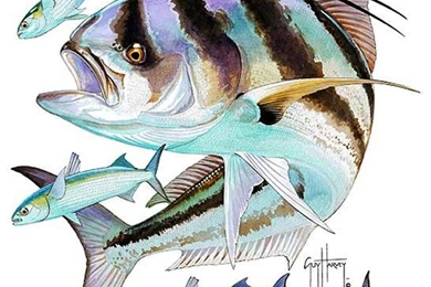 RePin Image: Guy Harvey's Tribute To Marlin On Pinterest