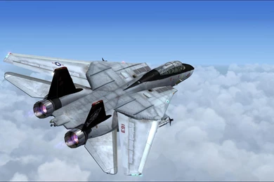 F 14 Tomcat Vf 101 Grim Reapers >> HD Wallpaper, Get It Now!