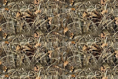 Camo And Blaze Pg. 6