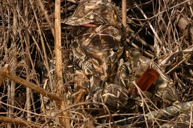 Alfa Img Showing > Max 4 HD Camo