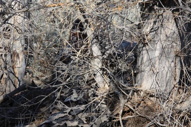 Contrast « Building KUIU