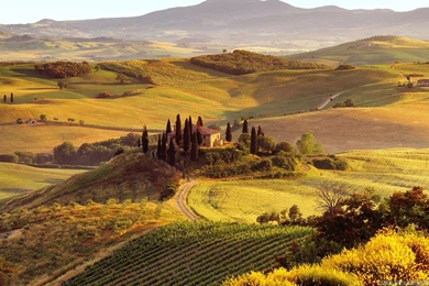 Wallpapers Green Summer Tuscan Fields Hills Nature 1920x1080 ...