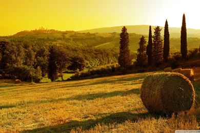 Wallpapers Tuscan Italy Landscape   1920 X 1080   Landscapes ...