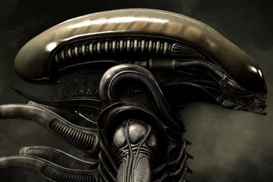 H.R. Giger Wallpapers   Wallpapers Cave