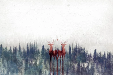 Nature Forest Grunge Deer Wallpapers