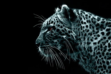 Leopard Cool Backgrounds Wallpapers 8062   Amazing Wallpaperz
