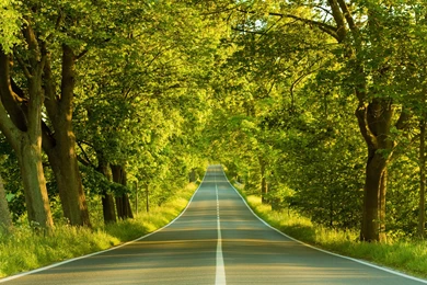 Landscape Wallpapers