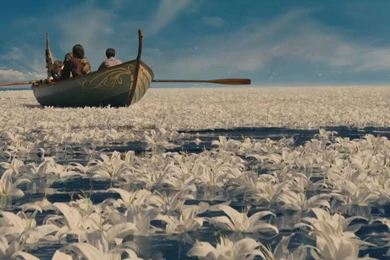 Blossoms On The Water From Chronicles Of Narnia Voyage Of The Dawn ...