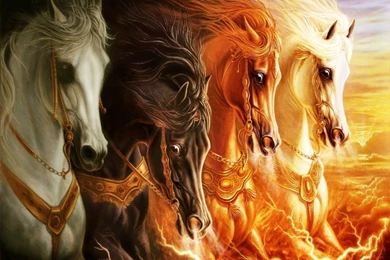 Index Of /var/albums/3D Wallpaper/3d Animals(hayvanlar) Wallpapers