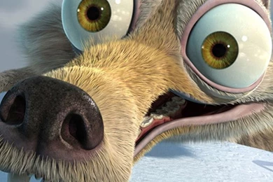 3D Animals Galaxy F Wallpapers, Galaxy F Backgrounds And Themes