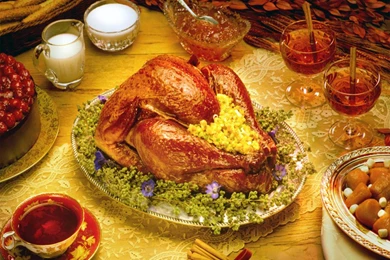 Thanksgiving Day Turkey Wallpapers   Crazy Frankenstein