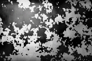 Cowhide Wallpapers By Kaessa On DeviantArt