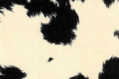 COWHIDE.1 KF DES UPH SDE PRI By Kravet Design